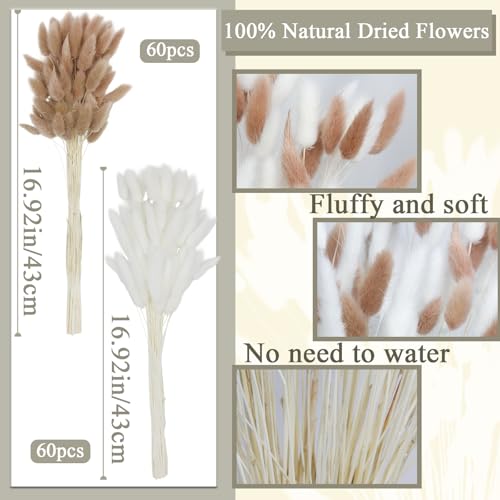 CISDUEO 120pcs Dried Bunny Tails Flowers Lagurus Ovatus Tail Dried Flowers Pampas Grass White and Light Brown Natural Dried Floral Arrangement for Boho Decor Home Wedding DIY Farmhouse Table 17" - color: White, Light Brown