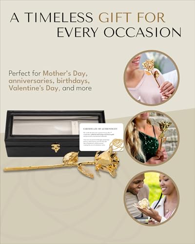 Forever Rose 24K Gold Dipped Real Rose – Handmade, Long-Lasting Preserved Flower in Leather Case – Romantic Gift for Anniversary, Valentine's Day, Mother's Day, Birthday, Wedding, Wife, Girlfriend - color: Leather Case