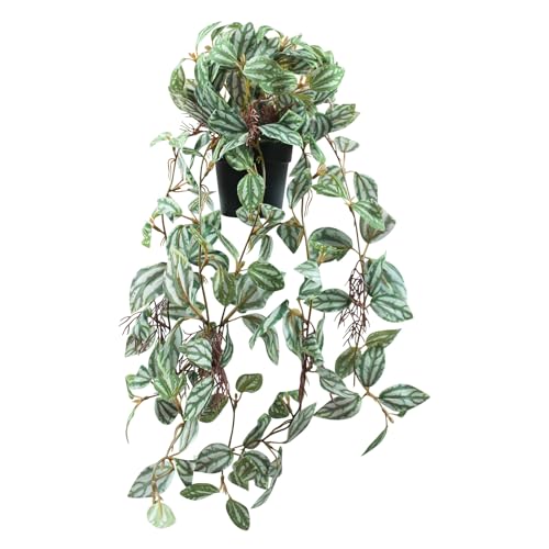 Artificial Hanging Ivy Plants Realistic 3D Watermelon Texture Fake Peperomia Leaves Faux Potting Vine Green Plants for Indoor Outdoor Home Garden Decor - color: C