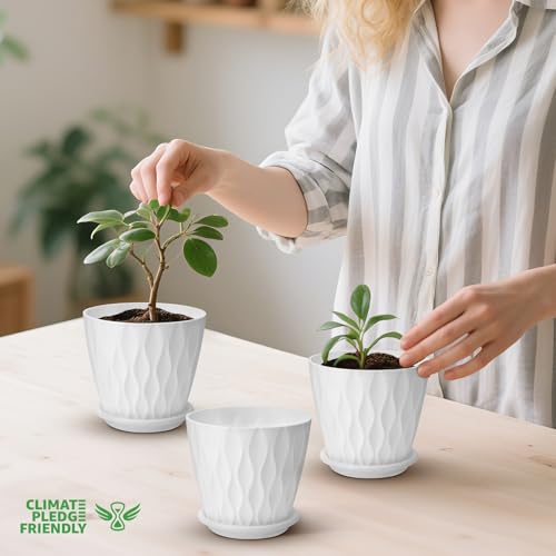 YNNICO 4 inch Plant Pots, 5 Pack Flower Pots Outdoor Indoor, Planters with Drainage Holes and Tray Saucers（White） - color: White, size: 4 inch