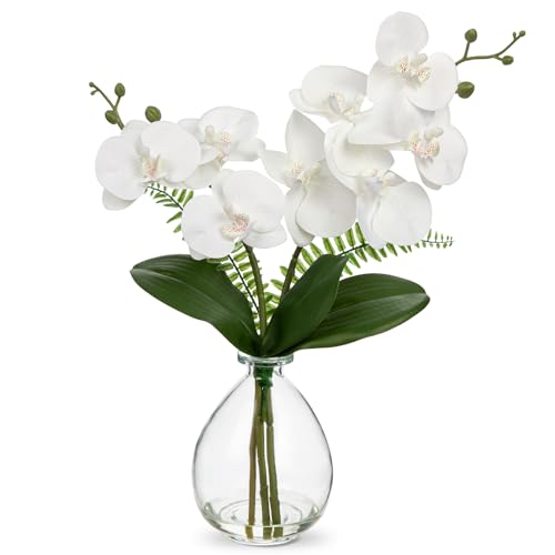 Oairse White Orchids Artificial Flowers, Faux Orchid in Glass Vase Real Touch Small Phalaenopsis Orchid Flowers Arrangements with Clear Vase Orchids Centerpiece for Dining Room Table - color: White & Clear