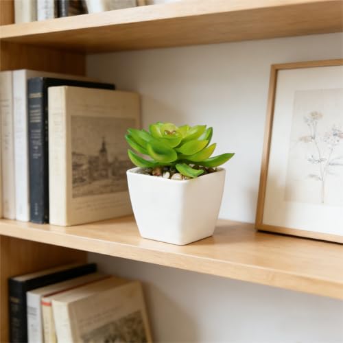 Artificial Succulent Plants in Pot - 1Pcs Stone Lotus Realistic Fake Potted Succulents for Home Decor, Desk, Office, Bathroom, Windowsill - Indoor Houseplant for Bedroom, Kitchen, Shelf - color: Stone Lotus