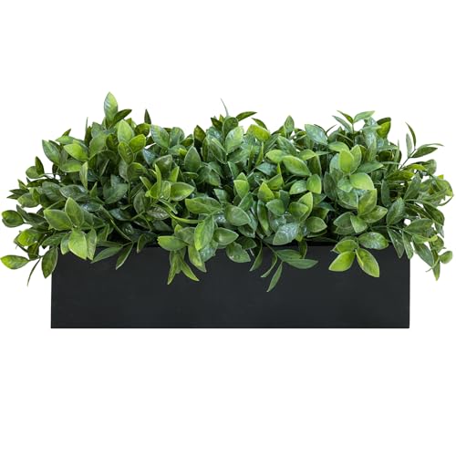 Winlyn 14" Artificial Boxwood Plant Greenery Arrangement Faux Boxwood in Black Rectangular Wooden Planter Potted Herb Plant for Farmhouse Home Decor Wedding Windowsill Mantel Shelf Table Centerpiece