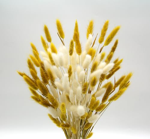 Dried Bunny Tails Flowers 120pcs Tail Dried Flowers Pampas Grass Natural Dried Floral Arrangement 17" for Christmas Halloween Boho Decor Home Wedding DIY Craft Decoration(White and Yellow) - color: Yellow
