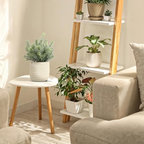 Hopewood Small Artificial Plants Eucalyptus with a Weave Basket Potted Plants for Home Office Desk Farmhouse Indoor Decor - color: Green Plant Style B