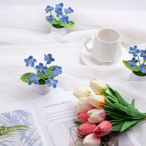 LAIDANLA Blue Crochet Flowers Forget Me Not, Mini Handmade Flower Potted Plants for Desk, Anniversary Appreciation Graduation Birthday Gifts for Women Friend Teacher Coworker - color: Blue