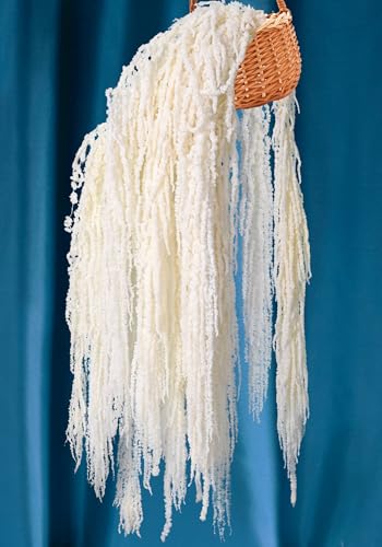 12PCS Dried Amaranthus Hanging Flowers - 23" Ivory White Preserved Floral Stems for Wedding Arch, Wall Decor, Centerpiece Arrangements, Garland, Home Vase Filler - color: 12pcs Ivory White