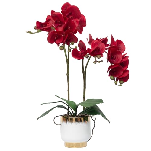 CXGS Orchids Artificial Flowers Real Touch Fake Flowers in Ceramic Pot 20" Red Faux Orchid Plant Lifelike Silk Phalaenopsis for Centerpiece Hotel Home Indoor Decor - color: Red- White Gold Vase