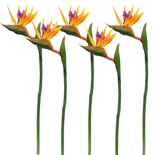 Calcifer 32'' Real Touch Bird of Paradise Artificial Flowers Bouquet for Home Garden Decoration/Wedding Party Decor Orange (Package Quantity: 5 Stems) - color: Package Quantity: 5 Stems