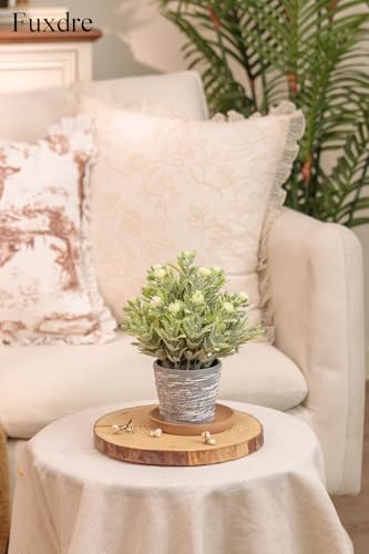 2 Pack Small Desk Plants, Artificial Bathroom Plants Decor with Flower in Vintage Melamine Pots, Faux Plants Indoor for Shelf Decor in Home Office, and Spring Decor (Ivory White) - color: Ivory White