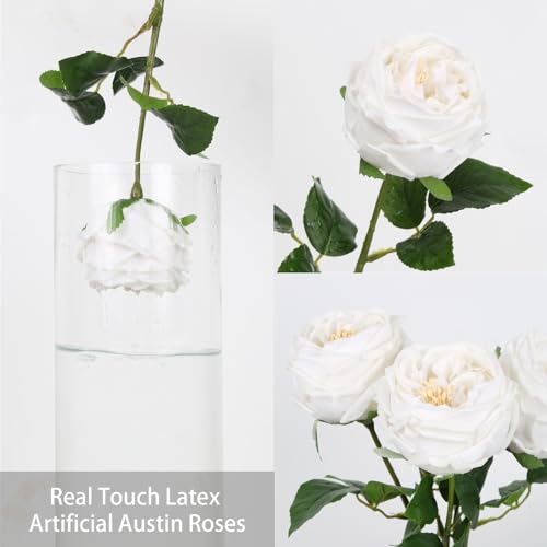 IPOPU White Roses Artificial Flowers,5PCS Real Touch Austin Roses Faux Peony Flowers Stems for Wedding Bouquet Party Home Decor(White) - color: White