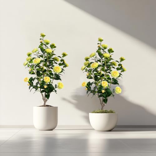 Artificial Camellia Tree 3.4ft Fake Trees pseudophyte (2, Yellow)