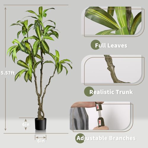 Artificial Dracaena Tree 6.5ft(78in) Faux Floor Plant for Indoor Decor Realistic Potted Tree with Texture Lifelike Leaves and Natural Wood Trunk for Home Living Room,Office Perfect Housewarming Gift - color: Dracaena Tree, size: 6ft