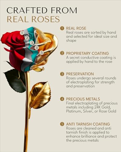 Forever Rose 24K Gold Dipped Real Rose – Handmade, Long-Lasting Preserved Flower in Leather Case – Romantic Gift for Anniversary, Valentine's Day, Mother's Day, Birthday, Wedding, Wife, Girlfriend - color: Leather Case