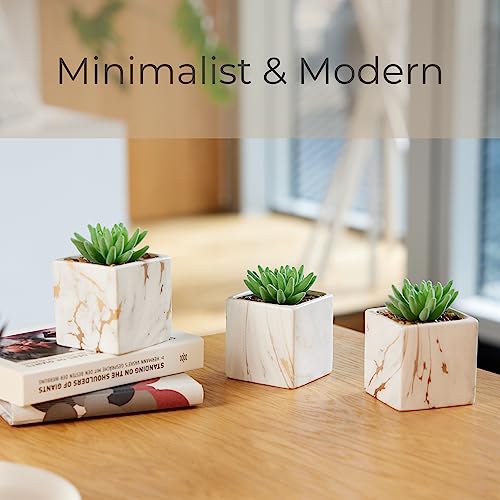 Nordik Square Marble Pots with Gold Vein Accents - Set of 3 - Modern Office and Home Decor - Lifelike Faux Plants - Artificial Desk Plants for Office and Bathroom - Mini Indoor Cactus - color: White Gold