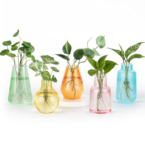 Mkono Propagation Vases for Plants, Set of 5 Small Glass Jar Planters for Hydroponic Cutting Flowers, Plant Station Bud Vases for Centerpieces Home Office Decor Gift, Colorful (Plants not Included) - color: Colorful