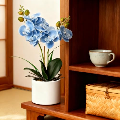 Jusdreen Artificial Blue Orchid in Ceramic Pot, Realistic Phalaenopsis Arrangement with Potting for Home Office Table Decor, 14.5 Inch Flower Centerpiece - color: Z/Ceramic-blue