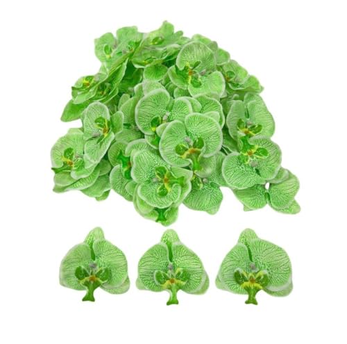 Corkwaw 50 Pcs Orchid Petals Artificial Decorations Orchids Heads Flowers Faux Silk Phalaenopsis Butterfly Flower Heads for Handmade DIY Home Wedding Party Decoration (Green) - color: Green