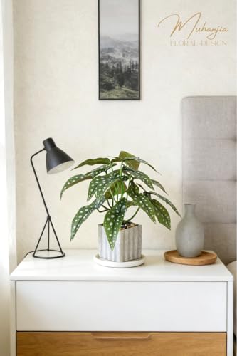 Muhanjia Artificial Potted Plant, Lifelike Faux Greenery in Decorative Cement-Look Square Pot for Indoor Home Decor Centerpieces (Polka Dot Begonia) - color: Polka Dot Begonia