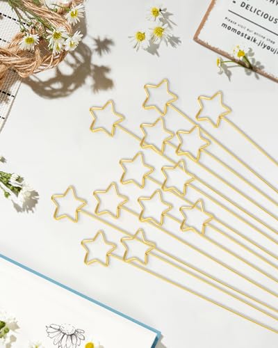 30Pcs Floral Card Holder Picks-Wire Place Card Holder for Wedding-Metal Photo Picture Clip Holder-Table Name Number Holder,Memo Note Holder for Flower Arrangement,Wedding,Baby Shower,Party,Decorations (Gold, Star) - color: Gold, size: Star