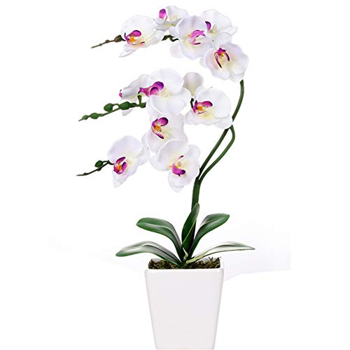 15" Tall Artificial Silk Phalaenopsis Orchid Flower Plant Pot Arrangements (White) - color: White