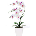15" Tall Artificial Silk Phalaenopsis Orchid Flower Plant Pot Arrangements (White) - color: White