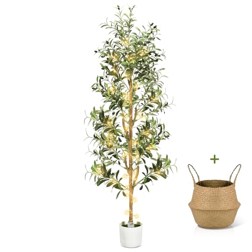TNELTUEB Faux Olive Tree 6FT- Indoor Tall Artificial Olive Trees with Lights & Basket and Planter, Fakeplants Artificial Plants with Natural Wood Trunk and Realistic Fruits for Home Living Room Decor - size: 6ft Green