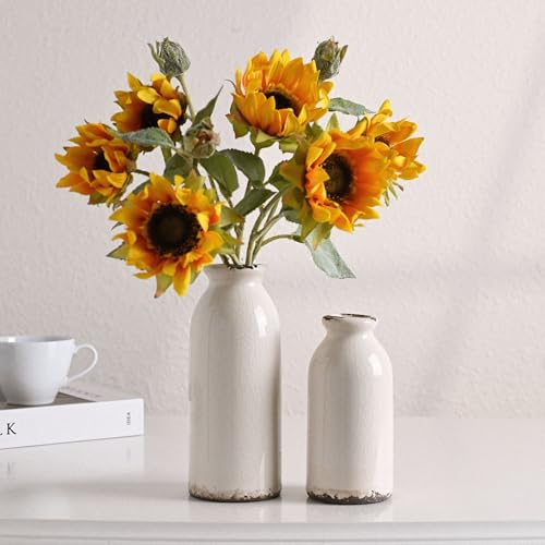 VICTOR & TERESA White Ceramic Vases Home Decor, Farmhouse Vase for Flowers, Flower Vase Set of 2, Rustic Decorative Vases for Pampas Grass, Table, Living Room, Shelf, Centerpieces, 8 inch - color: White