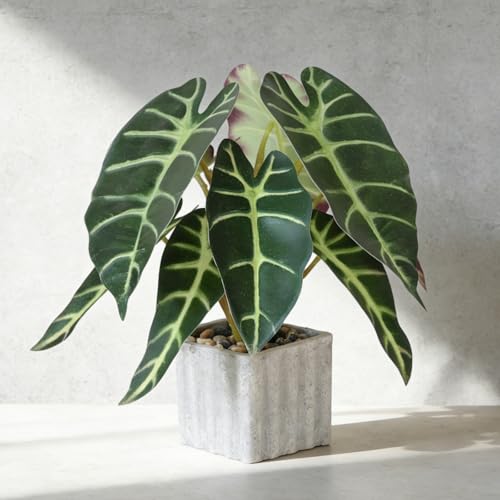 Muhanjia Artificial Potted Plant, Lifelike Faux Greenery in Decorative Cement-Look Square Pot for Indoor Home Decor Centerpieces (Alocasia) - color: Alocasia