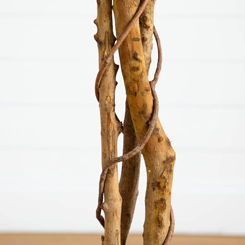 Nearly Natural 74in Artificial Triple Trunk Ficus Tree, Faux Greenery with Natural Wood Trunks for Indoor Home Decor - size: 6ft 2in, style: Tree in Pot