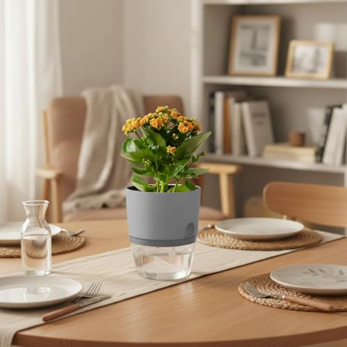 Vanavazon 6 Inch Self Watering Planter Pots for Indoor Plants, 3 Pack African Violet Pots with Wick Rope-Grey - color: Gray