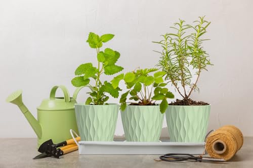 4 Inch Plant Pots, 6 Pack Indoor Flower Pots, Planters with Drainage Holes and Trays for Orchids, Violets, Succulents, Herbs, and Other Plants,Green - color: Green, size: 4inch