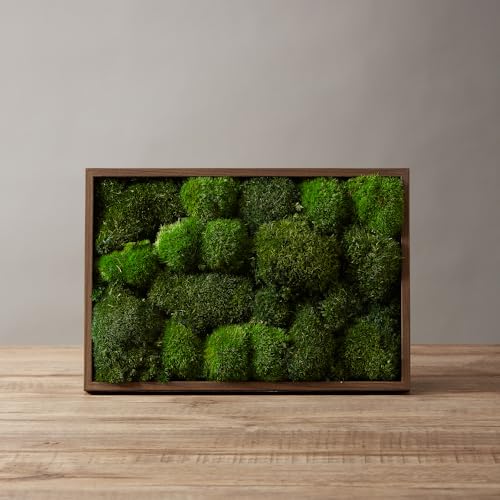 2 Color Mix Pack Preserved Pole Moss Pillow Bun Cushion Natural Decorative Green DIY Kit Art Wall Decor Florist Decor Easter Table Decor Wedding(1.5 sq.ft, Green-A,Green-B) - color: Color Mix-green-(a+b), size: 1.5 sq.ft.