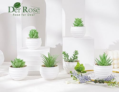 Der Rose 6 Pack Fake Plants Small Realistic Succulents Plants Artificial for Home Room Decor Indoor