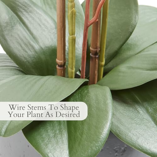 CG Hunter Faux White Orchid Plant, Premium Artificial Indoor Flower Display Stands 25-Inches with Beautiful Sculptural Blooms and Foliage That Lasts Forever, Grey Planter Pot Included - size: 25" White Double Stem