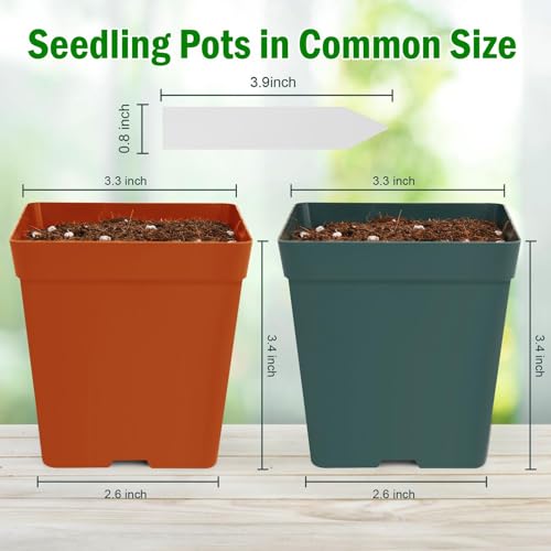 June Fox 100 Pack Green Red Square Nursery Pots with Drainage Holes 3.3 Inches Flexible Plastic Seedling Pots Square Pots for Plants, Succulent, Flower, with Plant Labels - color: Green and Red