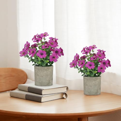 2 Pack Small Fake Plants Potted Artificial Plants Artificial Flowers Potted Faux Flower Daisy with Eucalyptus Leaves for Home Decor Office Room Farmhouse Indoor Table Bathroom Decor（Purple） - color: Purple