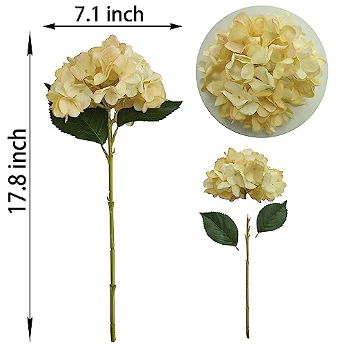 Hydrangea Artificial Flowers,6 Pcs Faux Hydrangea Flowers,Artificial Hydrangeas Flowers with Stems,Fake Hydrangeas,Silk Hydrangeas Flowers with Stems for Home Decor (6, Champagne) - color: Champagne