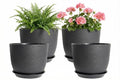 8 Inch Plant Pots Set of 4, Plastic Planters with Drainage Holes and Tray, Flower Pots for Indoor Outdoor Plants and Flowers (Black) - color: Black
