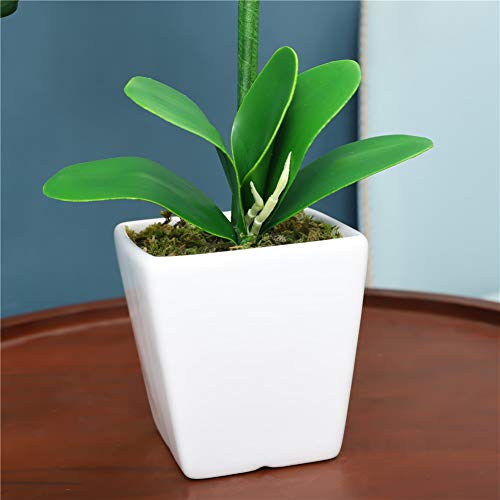 15" Tall Artificial Silk Phalaenopsis Orchid Flower Plant Pot Arrangements (White) - color: White