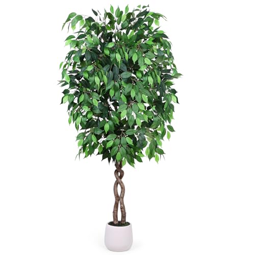 Jocoevol 6FT Artificial Ficus Tree, Tall Faux Trees Indoor with White Planter, Dried Moss, Natural Silk Leaves & Trunk, Fake Plants for Home Living Room Office Corner Decor Housewarming Gift - color: Green, size: 6ft