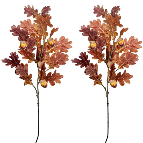 SNAIL GARDEN 2 Pcs 39.3in /100cm Faux Oak Fall Floral Stems with Acorns,Large Artificial Fall Stems for Vases Filler, Autumn Decor Oak Leaves Artificial Fall Flowers Wedding Porches Courtyards