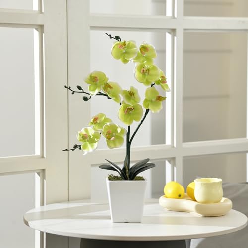15" Tall Artificial Silk Phalaenopsis Orchid Flower Plant Pot Arrangements (Apple Green) - color: Apple Green