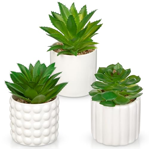 Briful Succulents Plants Artificial in White Ceramic Pots (Set of 3), Small Fake Plants for Home Office Desk Decor – Modern Mini Potted Succulents for Bathroom, Bedroom, Living Room Table, Shelf - color: White