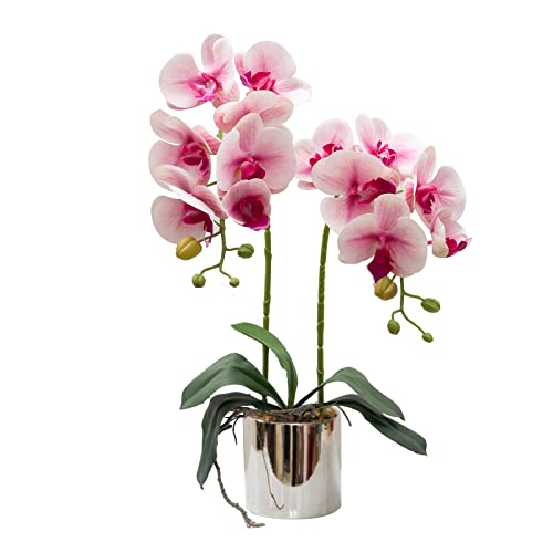 CXGS Artificial Orchid Flowers Light Pink Faux Orchids with Ceramic Vase Vivid Fake Phalaenopsis Flower Arrangement Gorgeous Artificial Plants for Wedding Party Exhibition Center Home Decor - color: Light Pink- Silver