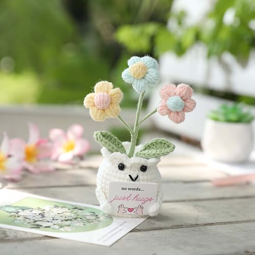 Crochet Sympathy Gifts for Loss of Loved One – No Words, Just Hugs Crochet Puff Flower Plant– Bereavement, Memorial, Get Well Soon, Grief Gift Idea for Loss of Grandpa Grandma Mom Dad - color: E-no Words, Just Hugs