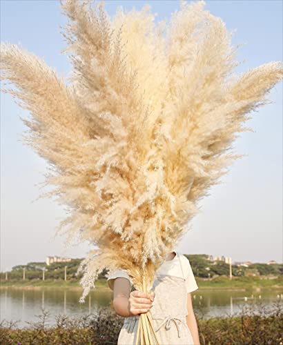 10 Stems 46" inch Dried Pampas Grass Decor Tall, Large Pompas Grass, Boho Neutral Home Decor Bouquet, Fluffy Pampass Grass for Floor Vase Wedding Floral Arrangements Wall Farmhouse Table Decor - size: 10PCS-46inch