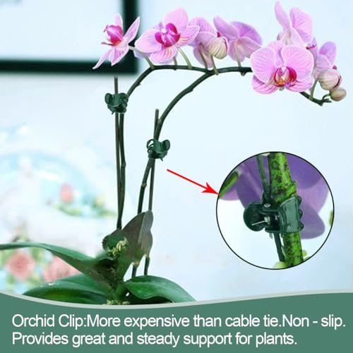 22Pcs Plant Stakes with 22 Pcs Clips, 15.8 inches Bendable Green Plant Sticks for Indoor and Outdoor Plants,Potted Plants,Single Stem Flower Support for Orchid Peony Rose (22, Green) - color: Green