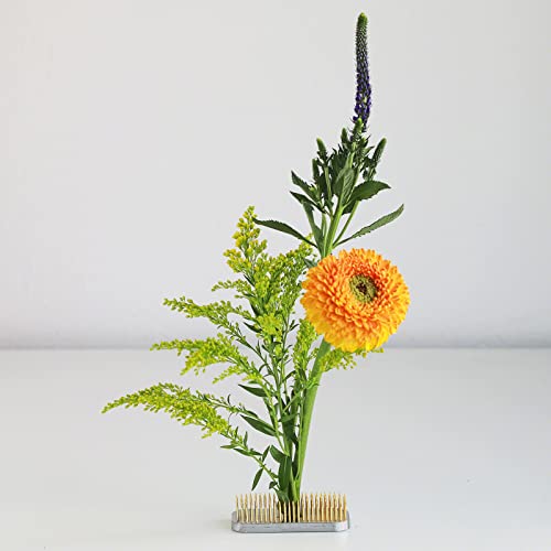 Wazakura Japanese Ikebana Kenzan Long Rectangular Flower Holder 3.4 in (87 mm), Made in Japan Floral Arranging Pin Frog Tool (3.4" (87mm) Long Rectangular Brass Kenzan) - color: 3.4" (87mm) Long Rectangular Brass Kenzan