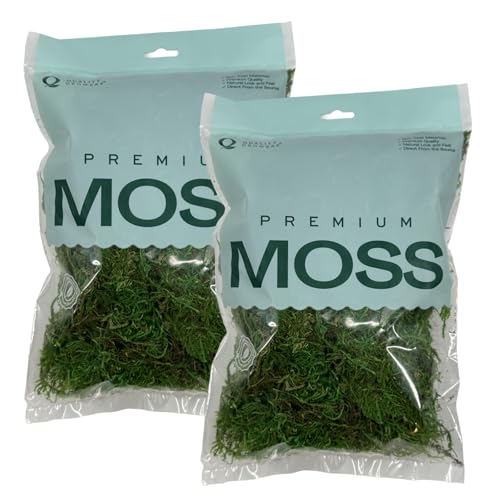 Preserved Sheet Moss - Premium Decorative Moss for Crafts, Home Décor, Art, Design & DIY Projects - Real Moss- Non-Toxic - USA-Made- (2-Pack Small, Green) - color: Sheet Moss, size: Small (2-Pack)